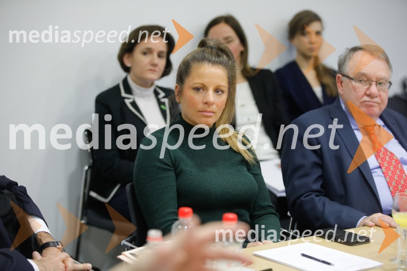 Srečanje članov slovenskega konzularnega zbora z ministrom Počivalškom