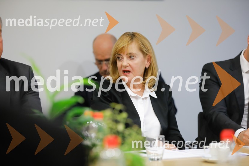 Srečanje članov slovenskega konzularnega zbora z ministrom Počivalškom