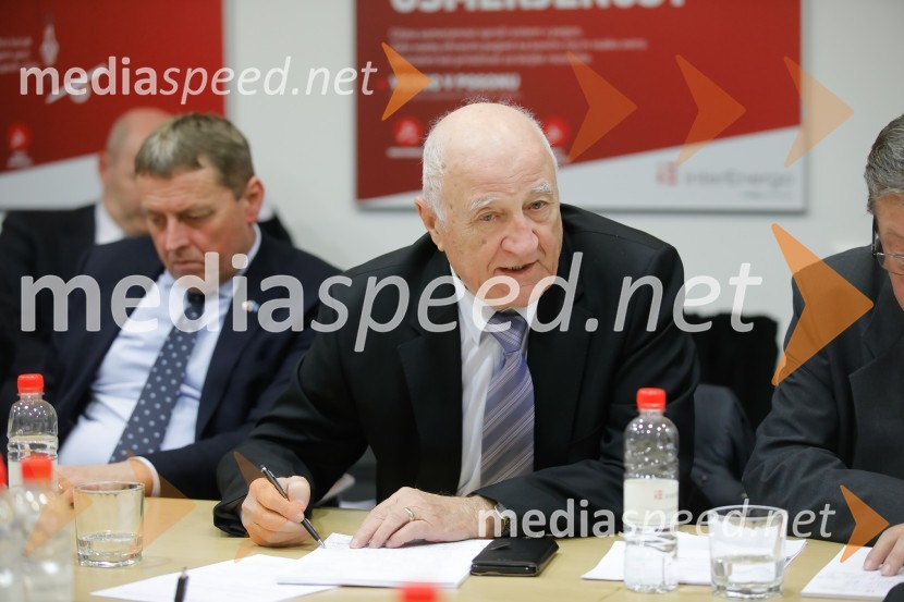 Srečanje članov slovenskega konzularnega zbora z ministrom Počivalškom