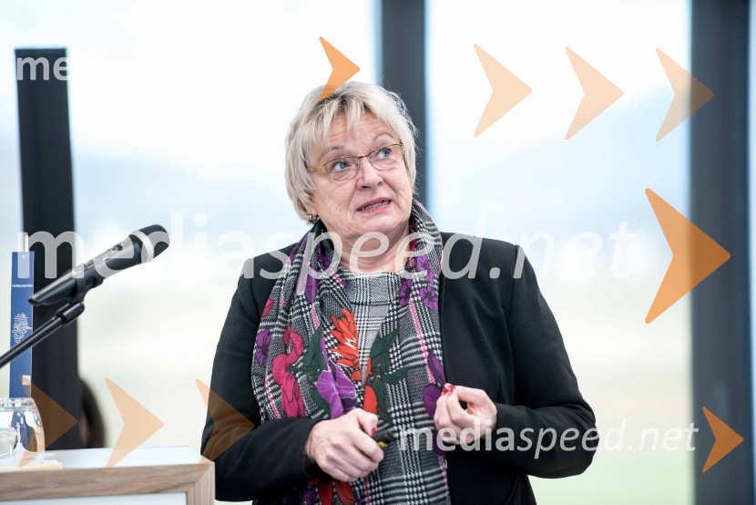  Gertrud Rantzen, predsednica upravnega odbora, Slovensko-nemška gospodarska zbornicaKick Off Meeting, predstavitev izsledkov raziskave in diskusija o digitalizaciji v podjetjih