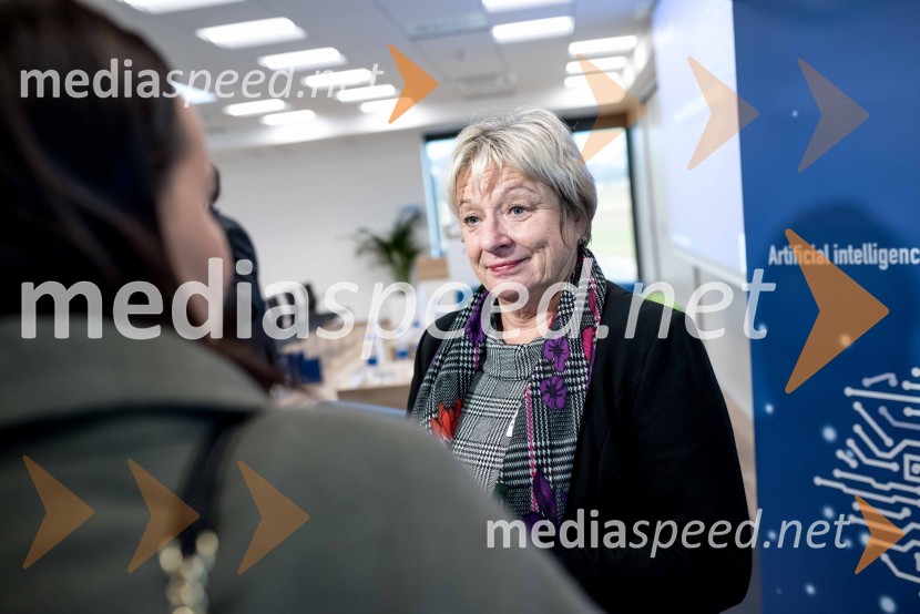  Gertrud Rantzen, predsednica upravnega odbora, Slovensko-nemška gospodarska zbornicaKick Off Meeting, predstavitev izsledkov raziskave in diskusija o digitalizaciji v podjetjih