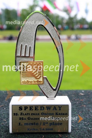 25. Zlati znak občine KrškoSpeedway, 25. dirka za Zlati znak