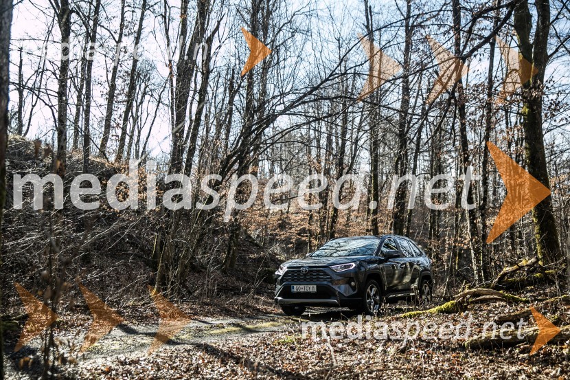 Toyota RAV4Toyota RAV4, slovenska predstavitev