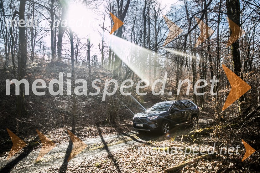 Toyota RAV4Toyota RAV4, slovenska predstavitev