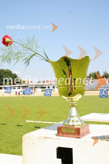 PokalSpeedway, kvalifikacije za ekipno svetovno prvenstvo