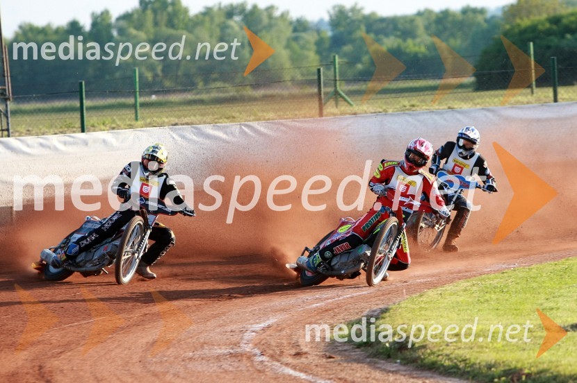 Speedway: Državno ekipno prvenstvo