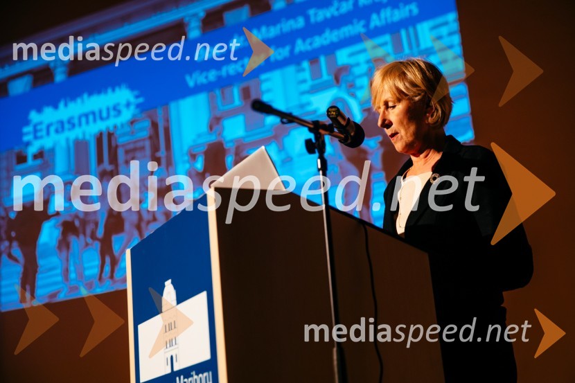 doc. dr. Marina Tavčar Krajnc, prorektorica za študijsko dejavnost Univerze v MariboruUniverza v Mariboru se je predstavila Erasmus študentom iz tujine