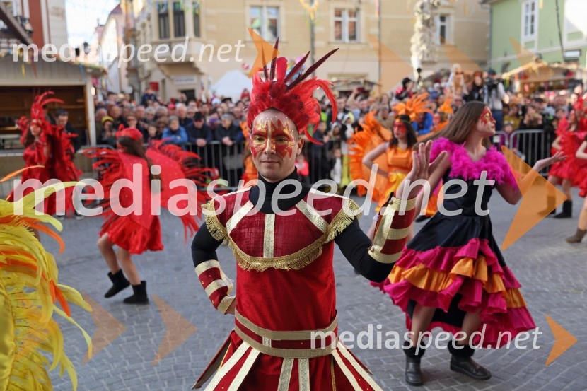 Mednarodna karnevalska povorka59. Mednarodna karnevalska povorka Ptuj