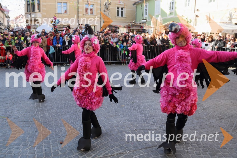 Mednarodna karnevalska povorka59. Mednarodna karnevalska povorka Ptuj