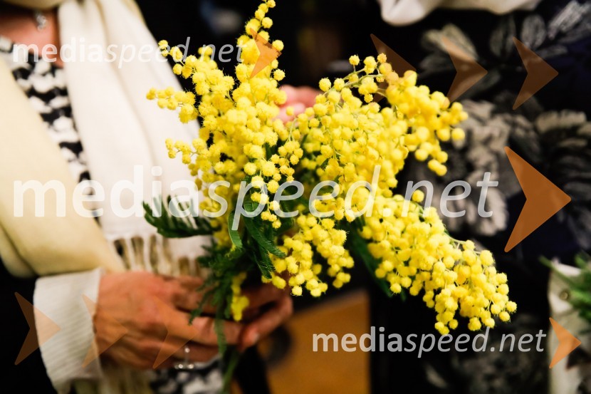 Spominski večer za preminulimi pisateljiSpominski večer za preminulimi pisatelji