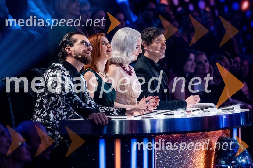  Andrej Škufca, štirikratni svetovni plesni prvak in plesni sodnik;  Katarina Venturini, nekdanja plesalka;  Nika Ambrožič Urbas, modna kreatorka in ustanoviteljica modne znamke Marija Moderna;  Lado Bizovičar, igralecZvezde plešejo 2019, druga oddaja