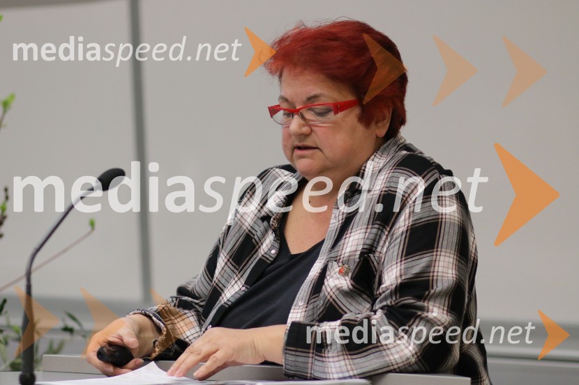 Valerija Skok, VIGIT, d.o.o.Sodobne rešitve uporabe mavčnih oblog v okvirni večetažni leseni gradnji, strokovni posvet