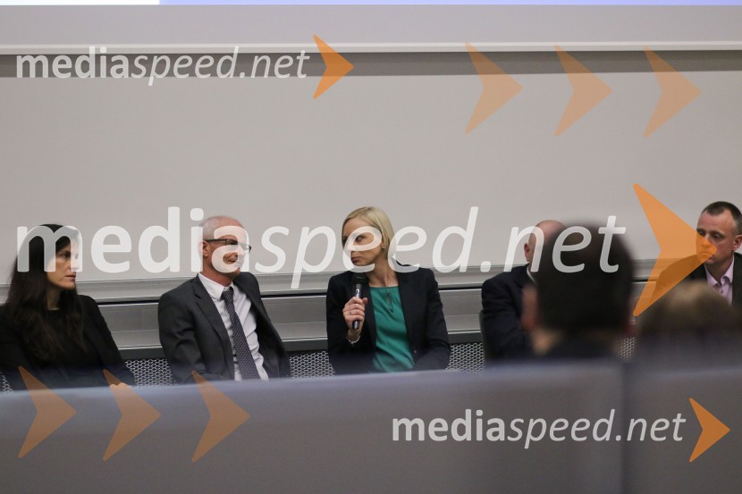 doc. dr. Vesna Žegarac Leskovar, Fakulteta za gradbeništvo, prometno inženirstvo in arhitekturo;  prof. dr. Miroslav  Premrov, Fakulteta za gradbeništvo, prometno inženirstvo in arhitekturo, Univerza v Mariboru; doc. dr. Erika Kozem Šilih, Fakulteta za gradbeništvo, arhitekturo in promet, Univerze v Mariboru;  Jens Koch, Saint-Gobain Rigips AustriaSodobne rešitve uporabe mavčnih oblog v okvirni večetažni leseni gradnji, strokovni posvet