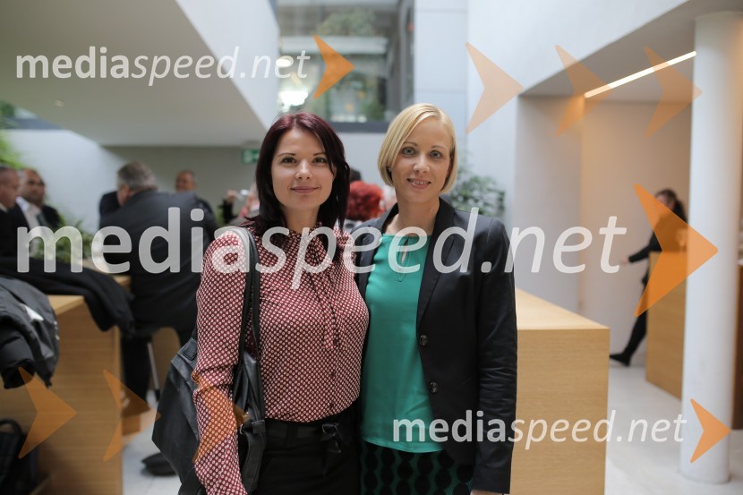  ... ; doc. dr. Erika Kozem Šilih, Fakulteta za gradbeništvo, arhitekturo in promet, Univerze v MariboruSodobne rešitve uporabe mavčnih oblog v okvirni večetažni leseni gradnji, strokovni posvet