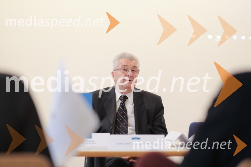 dr. Jože Gričar, zaslužni profesorMednarodna delavnica o srebrni ekonomiji