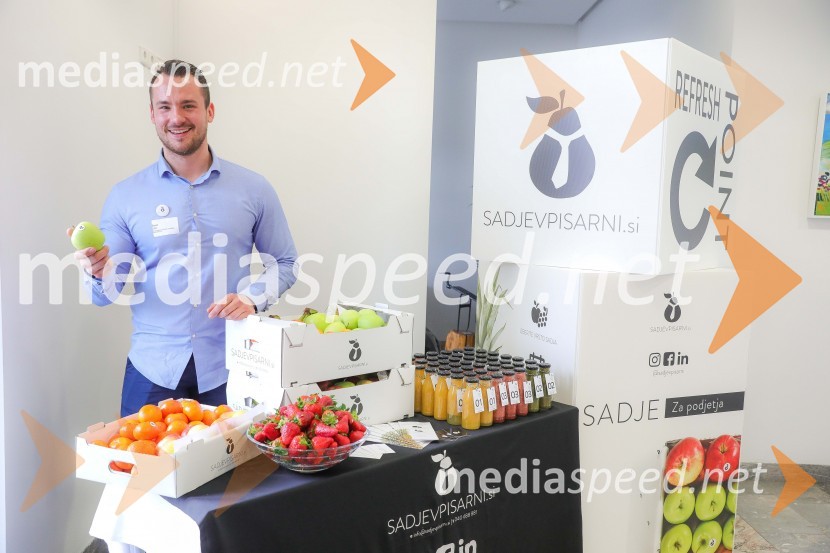 Dan slovensko-nemškega gospodarstva 2019Dan slovensko-nemškega gospodarstva 2019