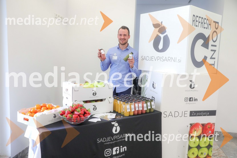 Dan slovensko-nemškega gospodarstva 2019Dan slovensko-nemškega gospodarstva 2019