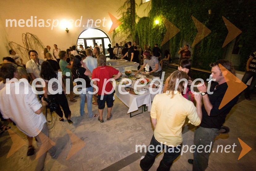 PogostitevFestival Festiko: predstava Tesla Electric Company