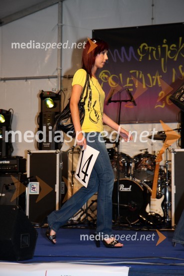 Kandidatka za Miss Štajerske 2008Miss Štajerske 2008 za Miss Slovenije 2008