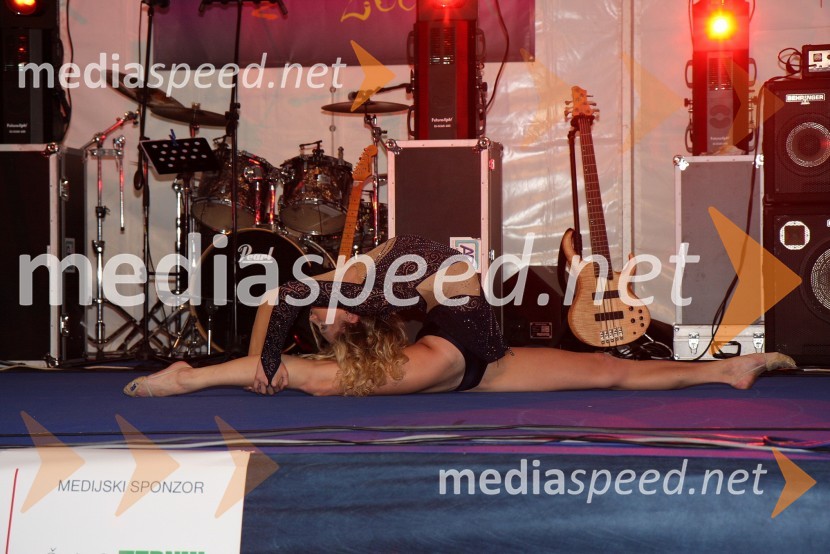 Pia Arhar, Miss športa 2008Miss Štajerske 2008 za Miss Slovenije 2008