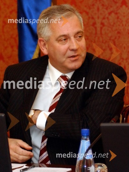 Ivo Sanader, hrvaški premierVlada Republike Hrvaške