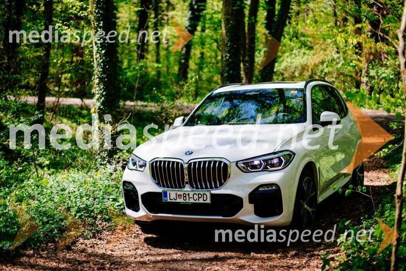 BMW X5 xDrive30d Avt. M Sport (G05, 2019)BMW X5 xDrive30d Avt. M Sport, mediaspeed test
