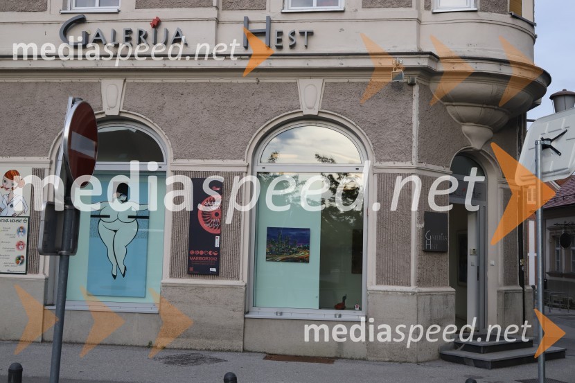 Galerija HestGalerija Hest, 30 let delovanja