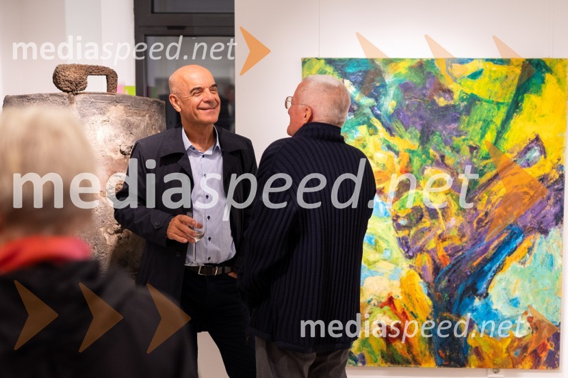  Tone Strnad, direktor, družba Medis d.o.o., nadzorni odbor, Slovensko-nemška gospodarska zbornicaGalerija Hest, 30 let delovanja tudi v Ljubljani