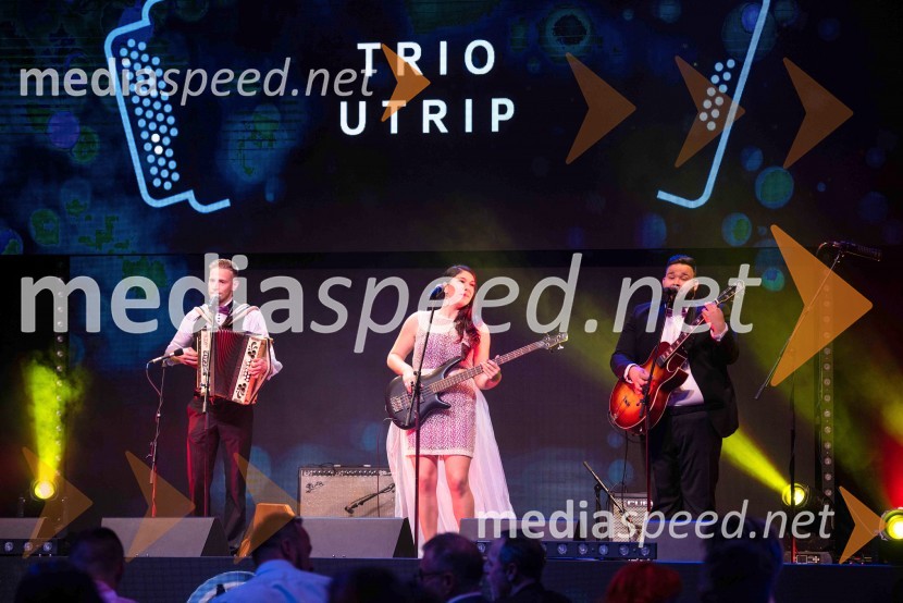  Andraž Vode, Trio Utrip;  Eva Koplan, Trio Utrip;  Mitja Jerančič, Trio UtripVolkswagen Špila, finalni koncert