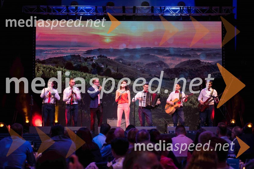  Matija Škrlep, ansambel Kerlci;  Grega Čepon, ansambel Kerlci;  Marko Jenko, ansambel Kerlci;  Manca Kavčič Zupan, ansambel Kerlci;  Matej Zupan, ansambel Kerlci;  David Ravnikar, ansambel Kerlci;  Tomaž Škrlep, ansambel KerlciVolkswagen Špila, finalni koncert