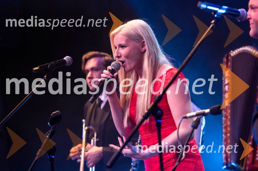 Volkswagen Špila, finalni koncert