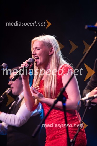 Volkswagen Špila, finalni koncert