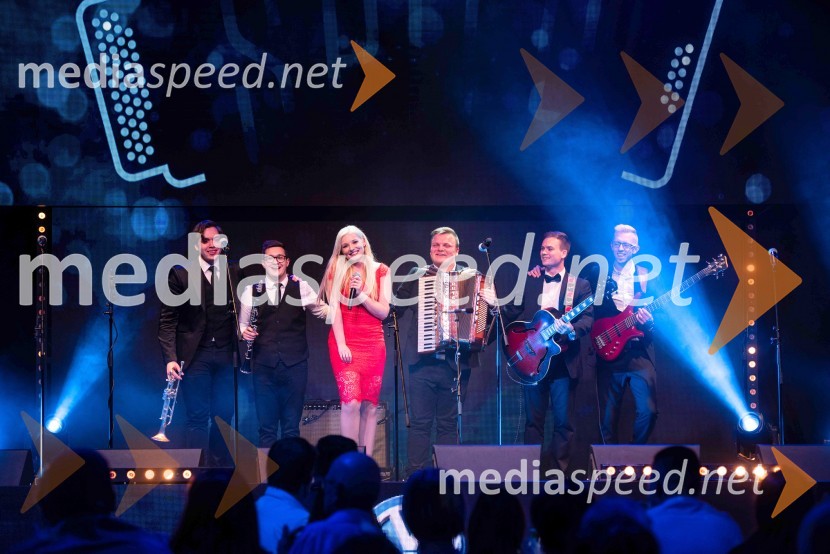 Volkswagen Špila, finalni koncert