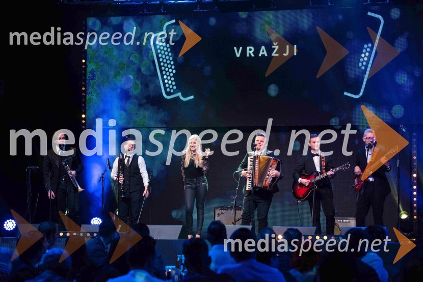 Volkswagen Špila, finalni koncert