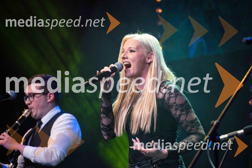 Volkswagen Špila, finalni koncert