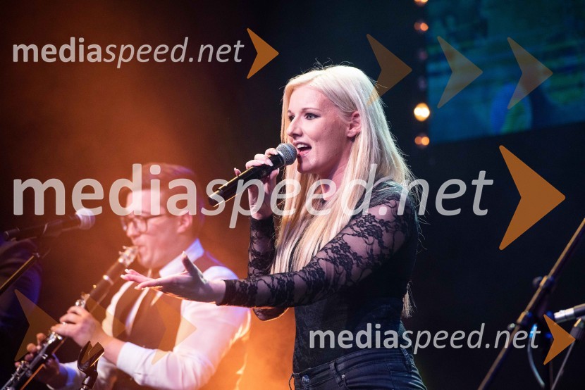 Volkswagen Špila, finalni koncert