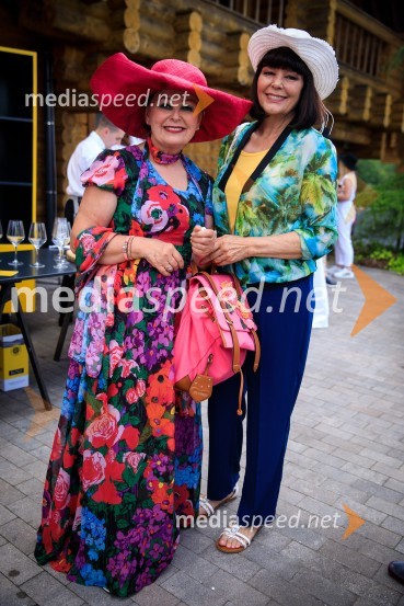  Zdenka  Kahne, lastnica kozmetike Kahne, ambasadorka znanja;  Nina Gazibara, nekdanja manekenkaZvezde pod klobuki 2019