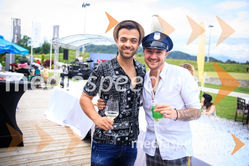  Gašper Rifelj, pevec;  Dejan Krajnc, skupina, Poskočni muzikantiZvezde pod klobuki 2019