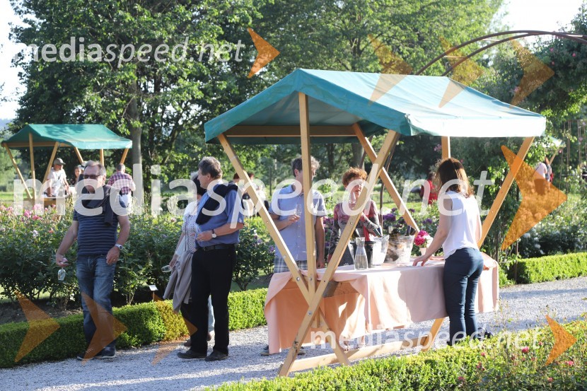 Vino in vrtnice 2019Vino in vrtnice 2019