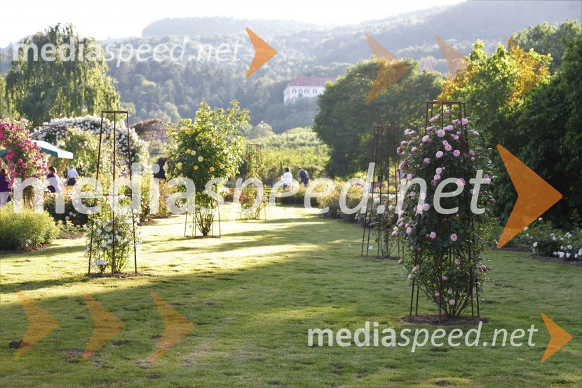 Vino in vrtnice 2019Vino in vrtnice 2019