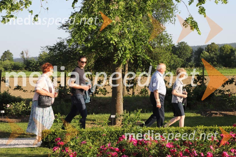 Vino in vrtnice 2019Vino in vrtnice 2019