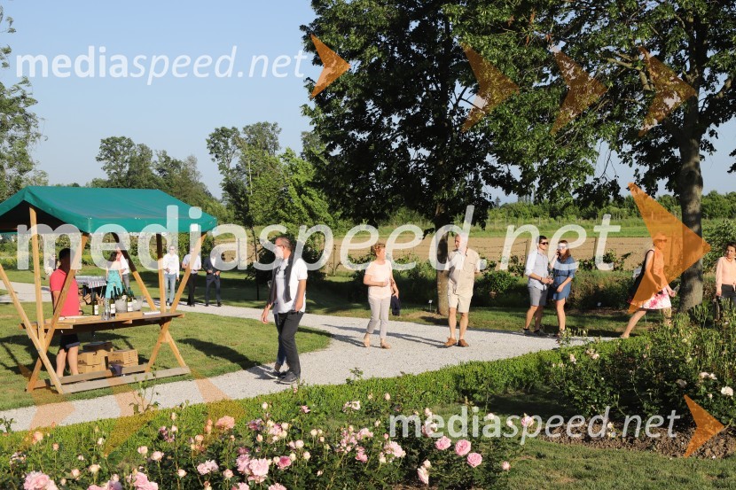 Vino in vrtnice 2019Vino in vrtnice 2019