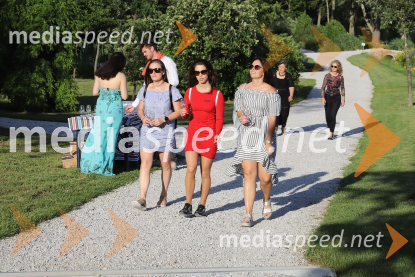 Vino in vrtnice 2019