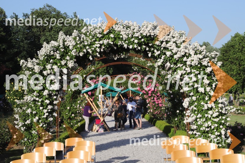 Vino in vrtnice 2019Vino in vrtnice 2019