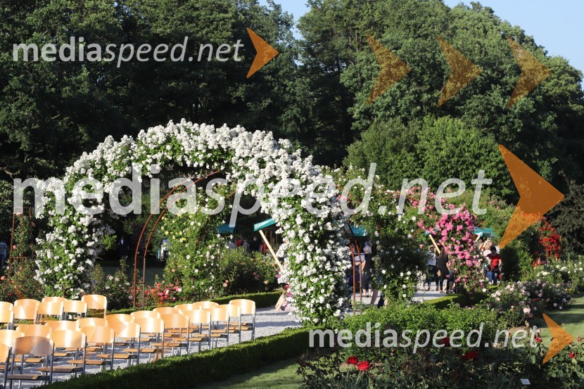 Vino in vrtnice 2019Vino in vrtnice 2019