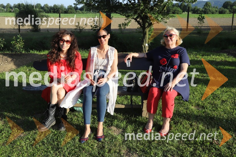 Vino in vrtnice 2019