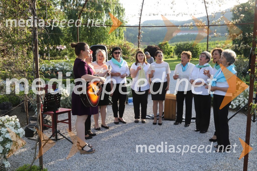 Vino in vrtnice 2019