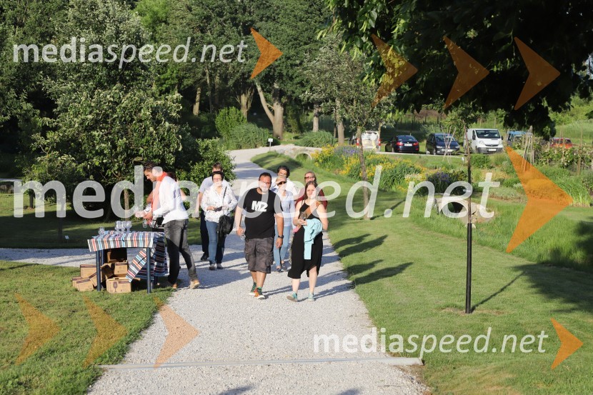 Vino in vrtnice 2019