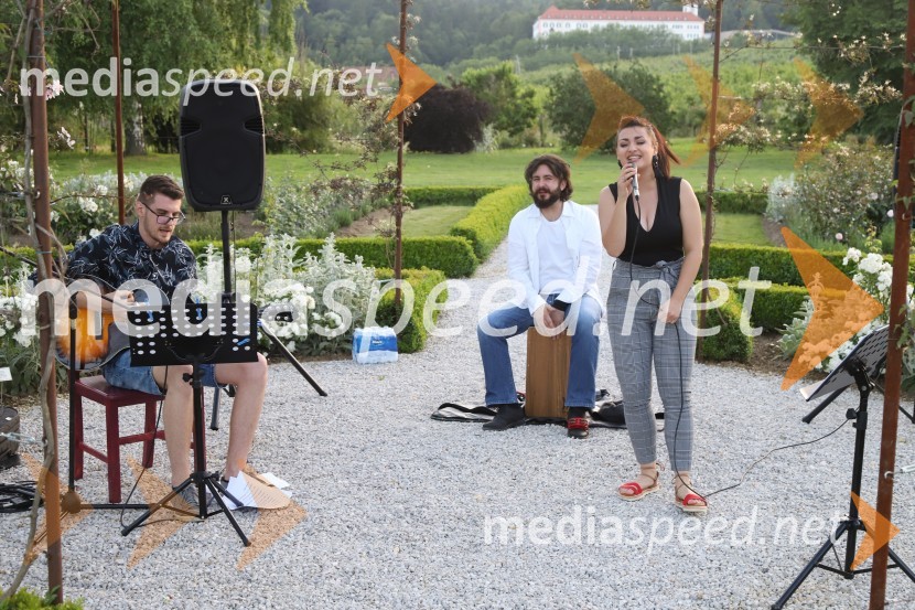 Vino in vrtnice 2019