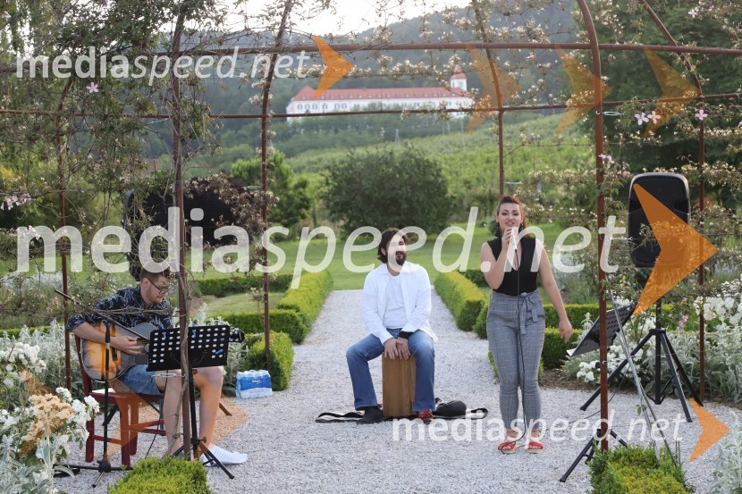 Vino in vrtnice 2019